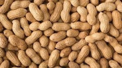 Peanuts