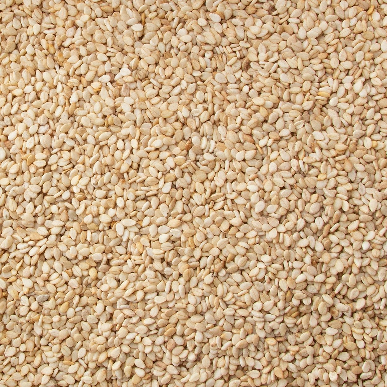 Sesame Seeds